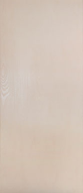 PUERTA FIBRA DE VIDRIO LISA 90X210 CM